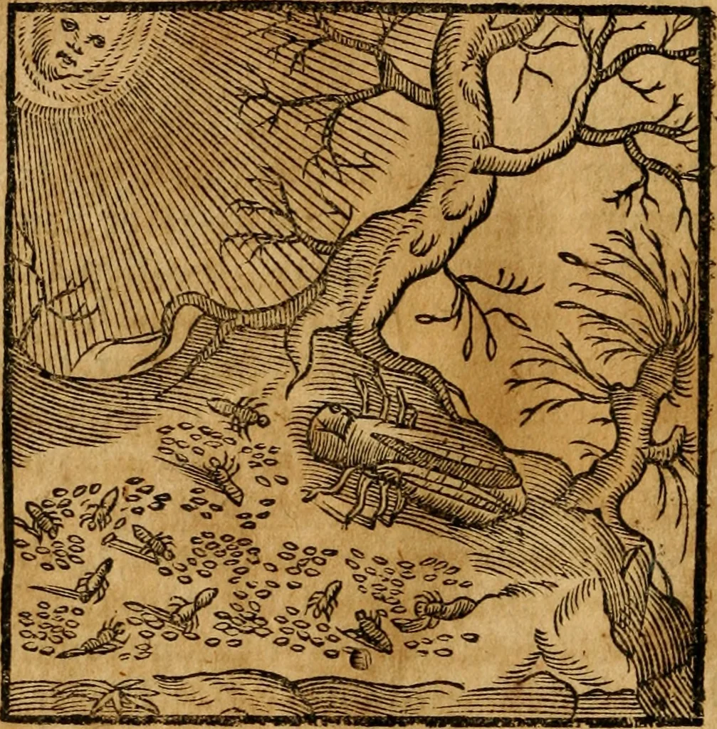 An illustration from Fabulae c. Aesopicae, 1590, leaf 37