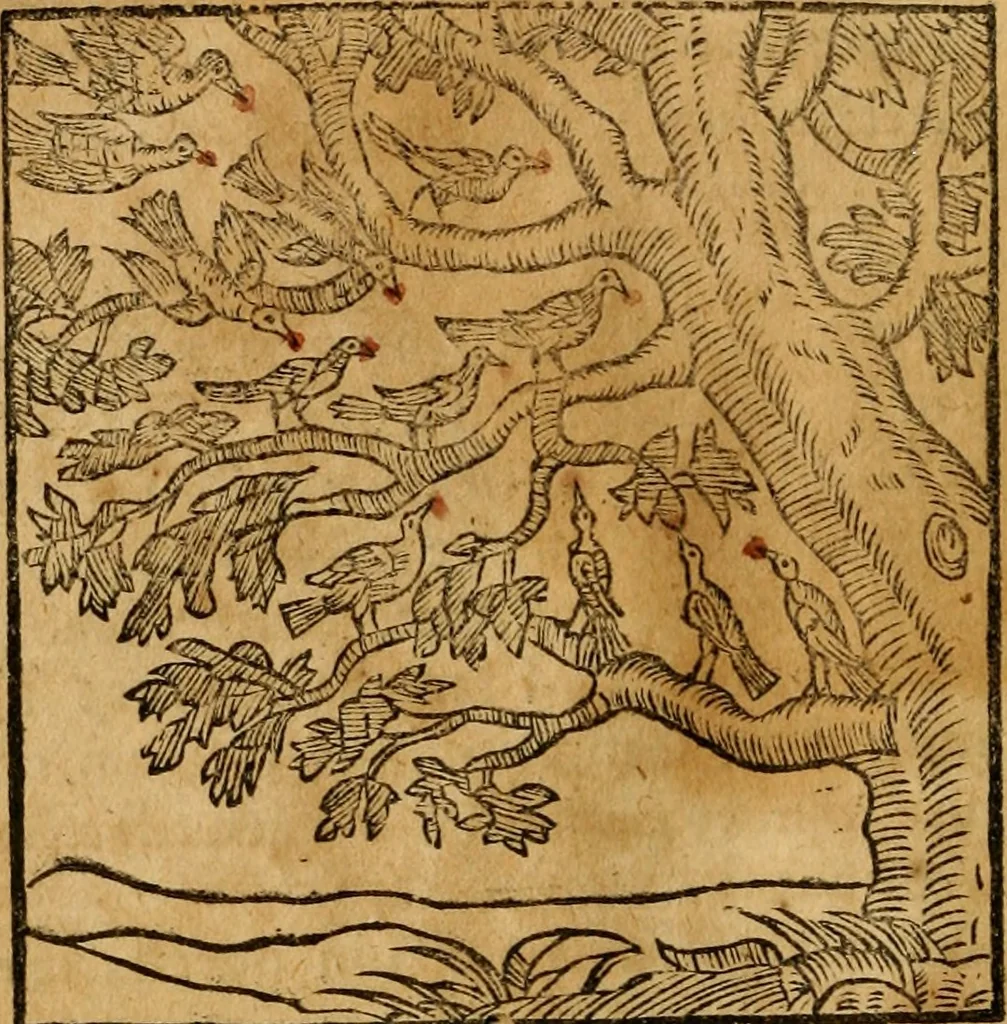 An illustration from Fabulae c. Aesopicae, 1590, leaf 39