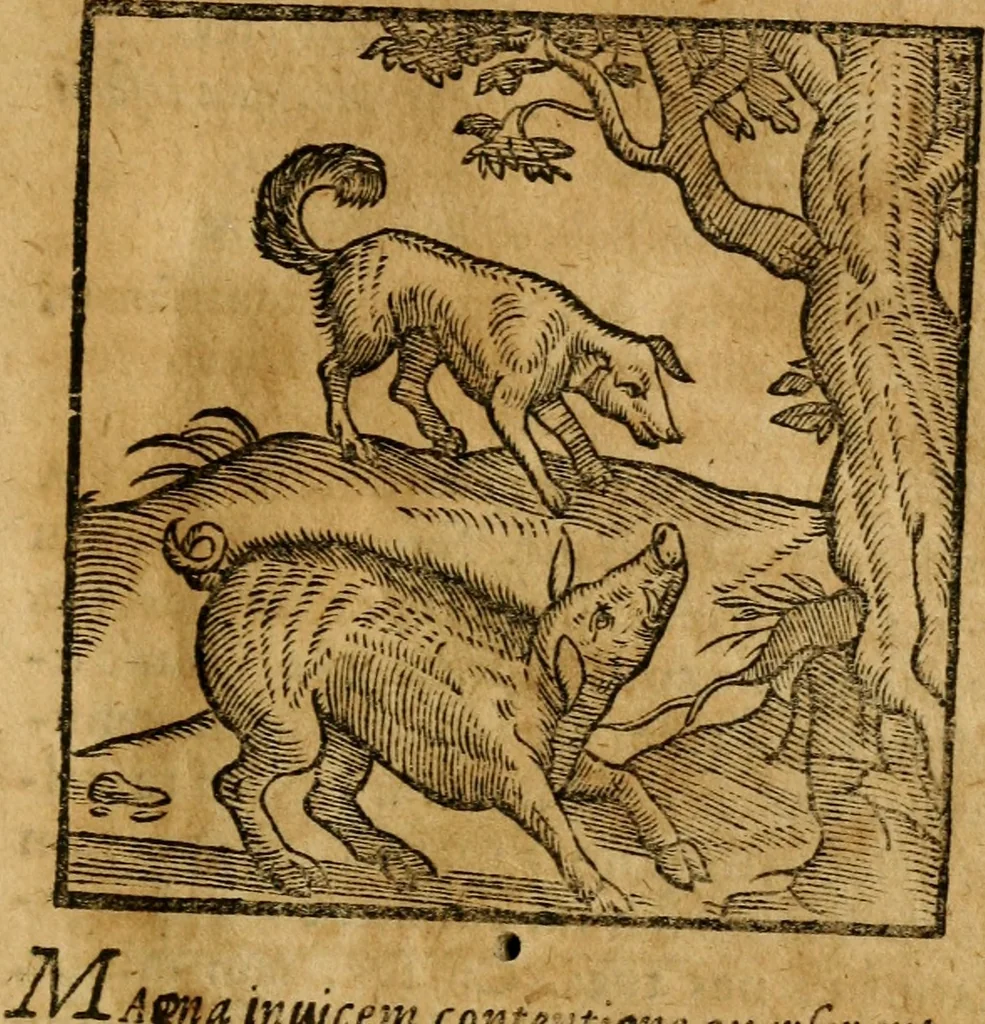 An illustration from Fabulae c. Aesopicae, 1590, leaf 42