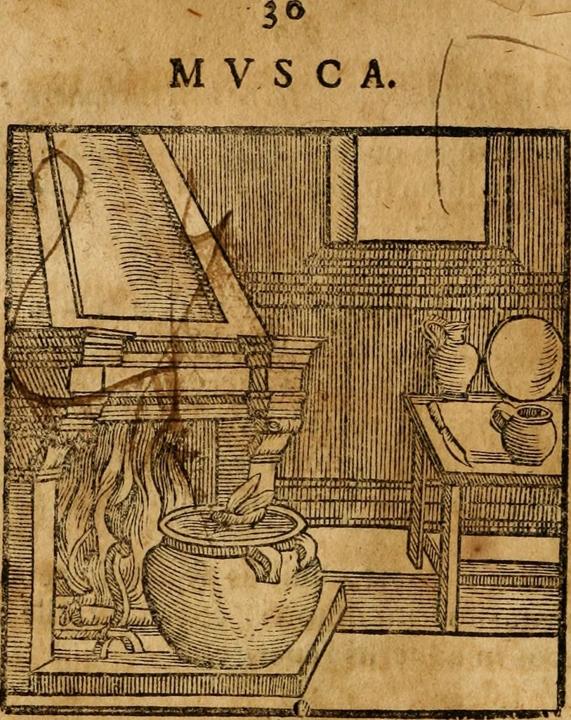 An illustration from Fabulae c. Aesopicae, 1590, leaf 53