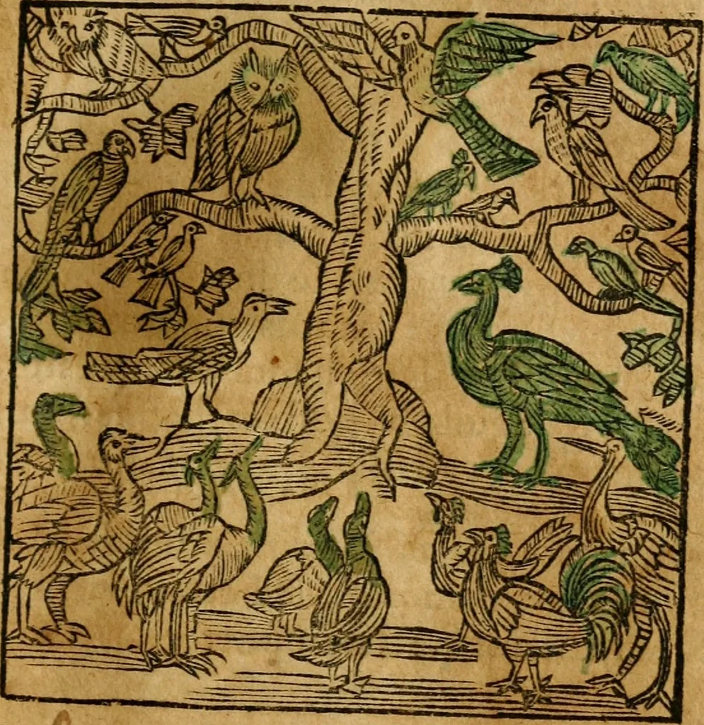 An illustration from Fabulae c. Aesopicae, 1590, leaf 70