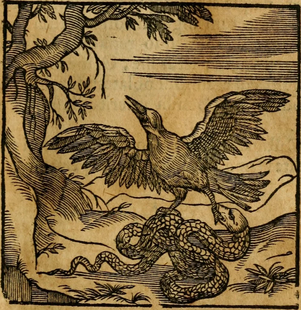 An illustration from Fabulae c. Aesopicae, 1590, leaf 74
