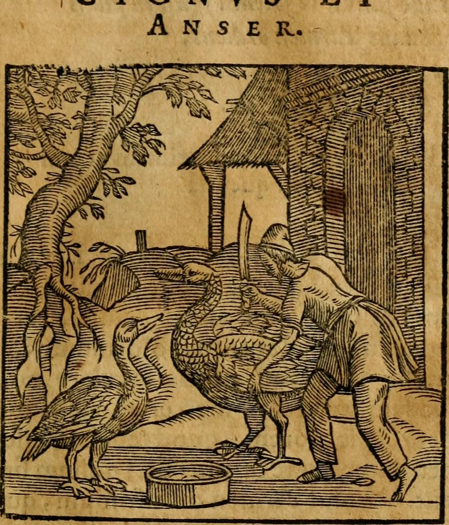 An illustration from Fabulae c. Aesopicae, 1590, leaf 76
