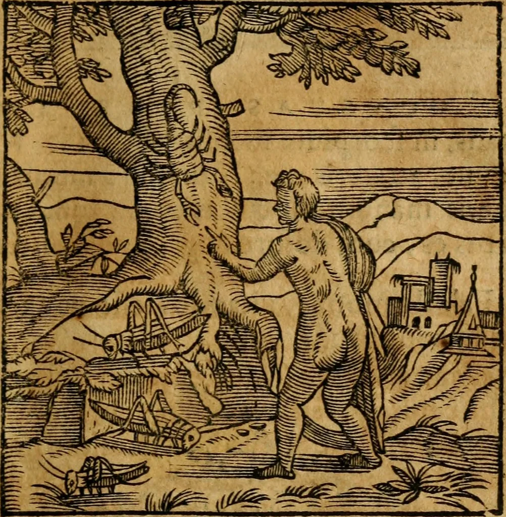 An illustration from Fabulae c. Aesopicae, 1590, leaf 78