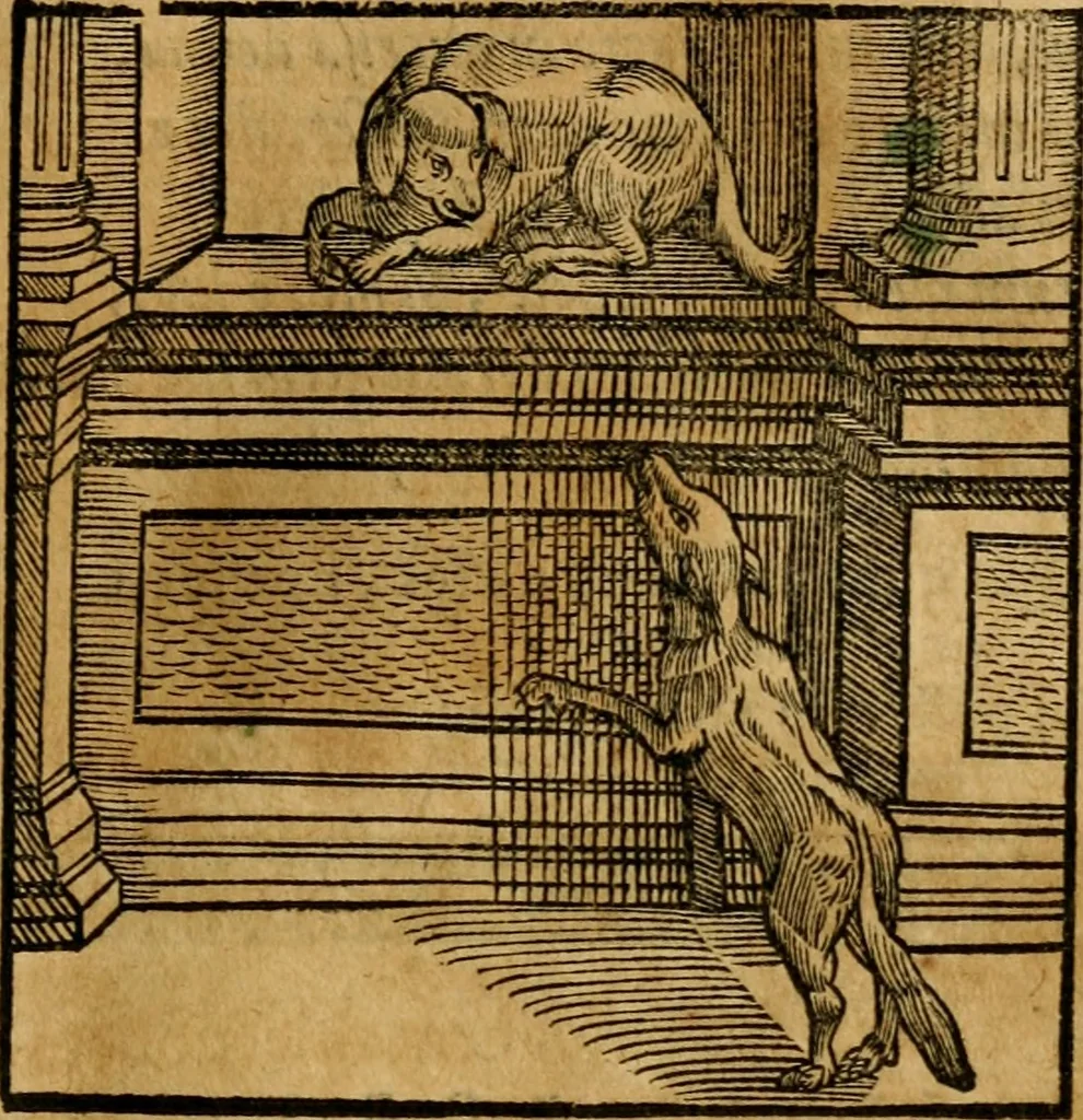 An illustration from Fabulae c. Aesopicae, 1590, leaf 84