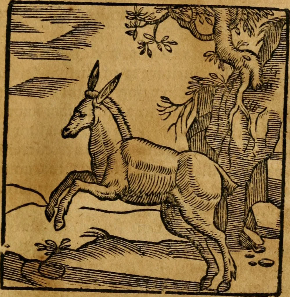 An illustration from Fabulae c. Aesopicae, 1590, leaf 90