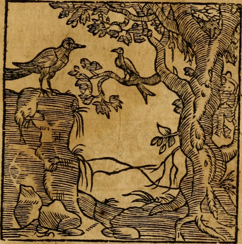 An illustration from Fabulae c. Aesopicae, 1590, leaf 98