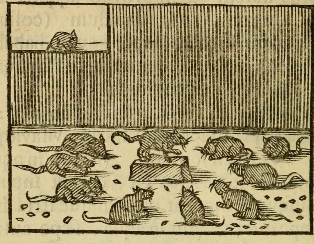An illustration from Fabulæ Æsopi Graecè & Latinè, nunc denuo selectæ : eæ item, quas Avienus carmine expressit, accedit ranarum et murium pugna, Homero olim adscripta cum ... figuris .., 1660, leaf 136