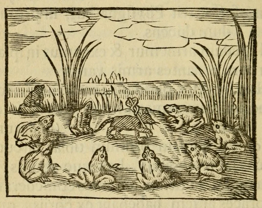 An illustration from Fabulæ Æsopi Graecè & Latinè, nunc denuo selectæ : eæ item, quas Avienus carmine expressit, accedit ranarum et murium pugna, Homero olim adscripta cum ... figuris .., 1660, leaf 140