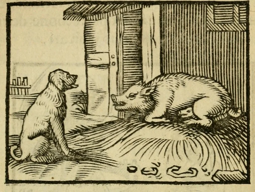 An illustration from Fabulæ Æsopi Graecè & Latinè, nunc denuo selectæ : eæ item, quas Avienus carmine expressit, accedit ranarum et murium pugna, Homero olim adscripta cum ... figuris .., 1660, leaf 15
