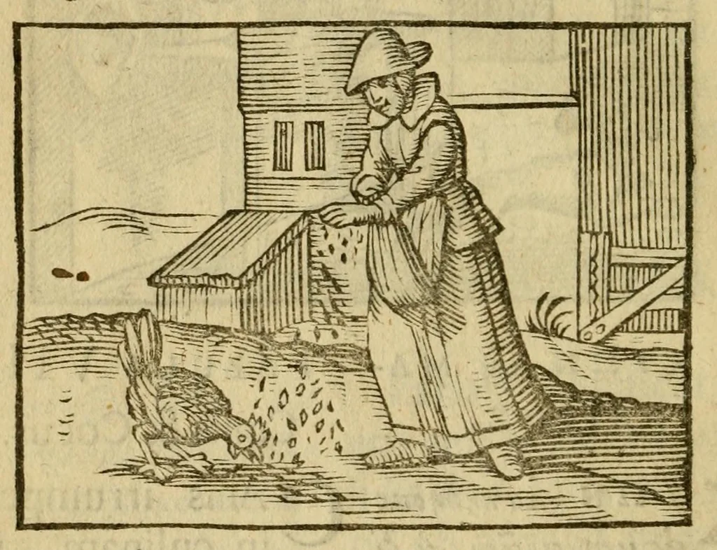 An illustration from Fabulæ Æsopi Graecè & Latinè, nunc denuo selectæ : eæ item, quas Avienus carmine expressit, accedit ranarum et murium pugna, Homero olim adscripta cum ... figuris .., 1660, leaf 22