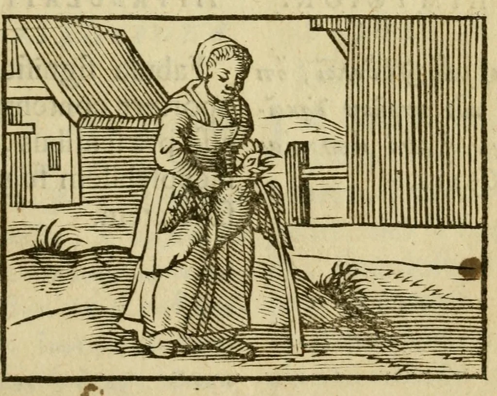 An illustration from Fabulæ Æsopi Graecè & Latinè, nunc denuo selectæ : eæ item, quas Avienus carmine expressit, accedit ranarum et murium pugna, Homero olim adscripta cum ... figuris .., 1660, leaf 23