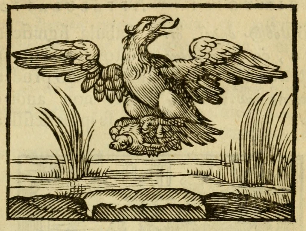 An illustration from Fabulæ Æsopi Graecè & Latinè, nunc denuo selectæ : eæ item, quas Avienus carmine expressit, accedit ranarum et murium pugna, Homero olim adscripta cum ... figuris .., 1660, leaf 29