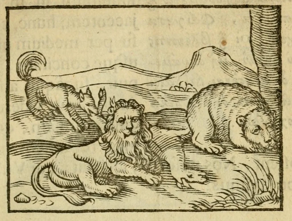 An illustration from Fabulæ Æsopi Graecè & Latinè, nunc denuo selectæ : eæ item, quas Avienus carmine expressit, accedit ranarum et murium pugna, Homero olim adscripta cum ... figuris .., 1660, leaf 35