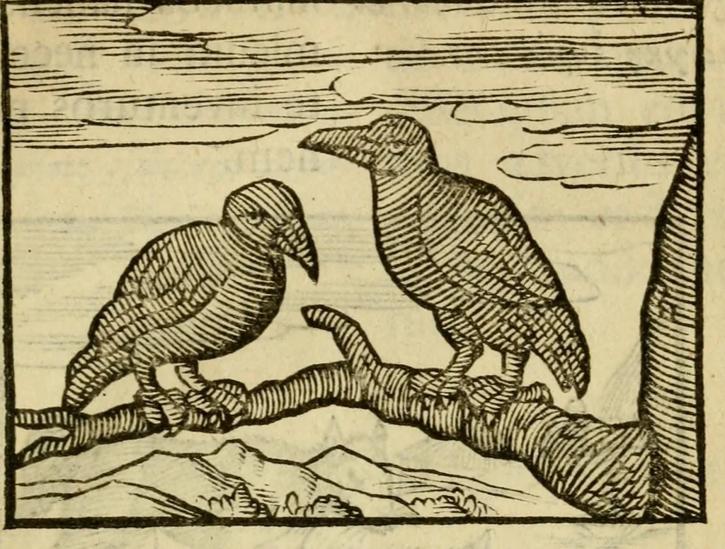 An illustration from Fabulæ Æsopi Graecè & Latinè, nunc denuo selectæ : eæ item, quas Avienus carmine expressit, accedit ranarum et murium pugna, Homero olim adscripta cum ... figuris .., 1660, leaf 37