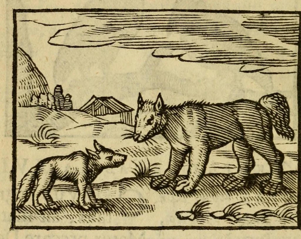 An illustration from Fabulæ Æsopi Graecè & Latinè, nunc denuo selectæ : eæ item, quas Avienus carmine expressit, accedit ranarum et murium pugna, Homero olim adscripta cum ... figuris .., 1660, leaf 38
