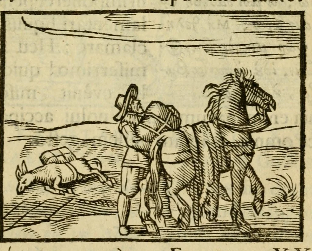 An illustration from Fabulæ Æsopi Graecè & Latinè, nunc denuo selectæ : eæ item, quas Avienus carmine expressit, accedit ranarum et murium pugna, Homero olim adscripta cum ... figuris .., 1660, leaf 43