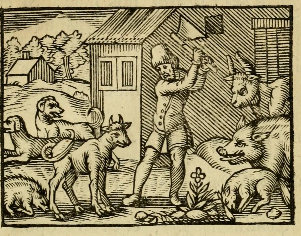 An illustration from Fabulæ Æsopi Graecè & Latinè, nunc denuo selectæ : eæ item, quas Avienus carmine expressit, accedit ranarum et murium pugna, Homero olim adscripta cum ... figuris .., 1660, leaf 53
