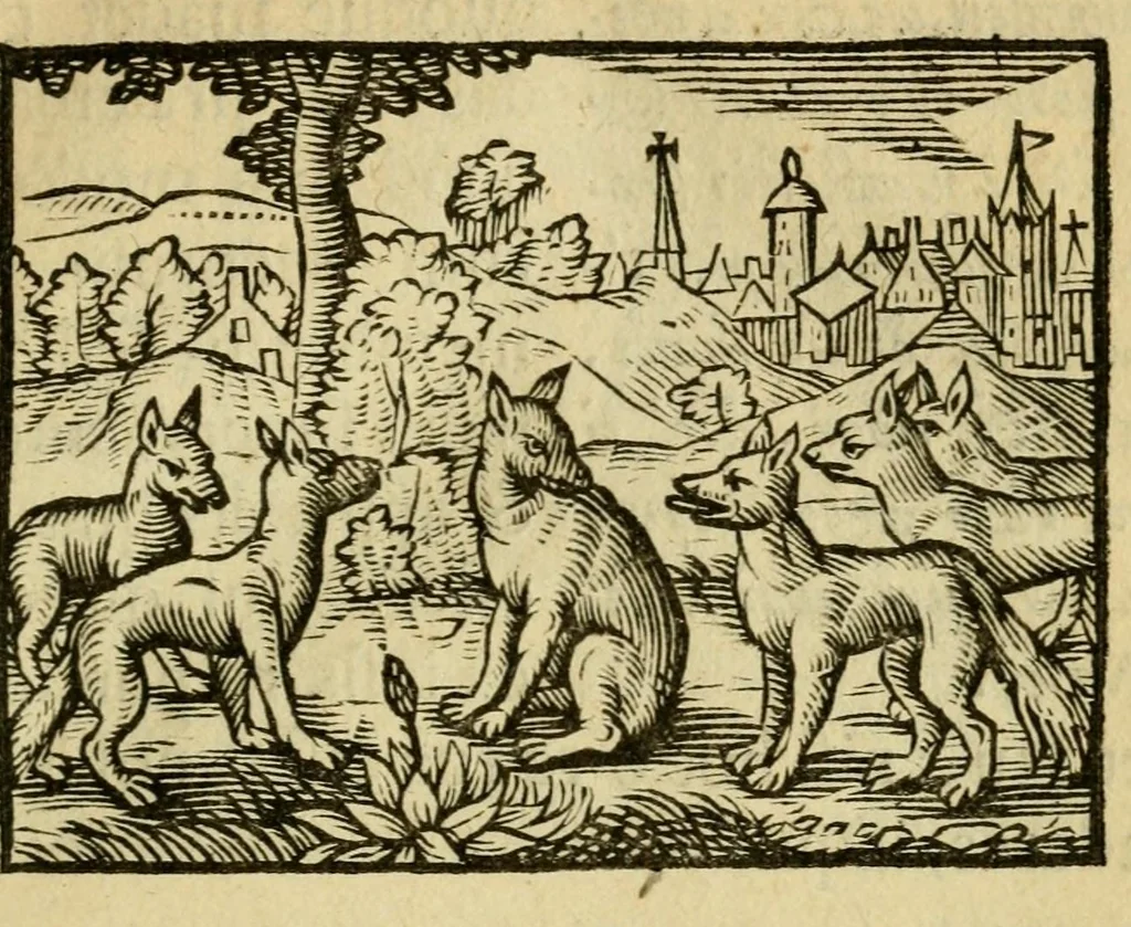 An illustration from Fabulæ Æsopi Graecè & Latinè, nunc denuo selectæ : eæ item, quas Avienus carmine expressit, accedit ranarum et murium pugna, Homero olim adscripta cum ... figuris .., 1660, leaf 55