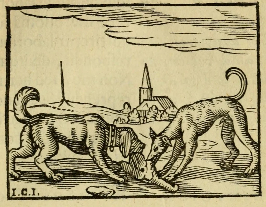 An illustration from Fabulæ Æsopi Graecè & Latinè, nunc denuo selectæ : eæ item, quas Avienus carmine expressit, accedit ranarum et murium pugna, Homero olim adscripta cum ... figuris .., 1660, leaf 65