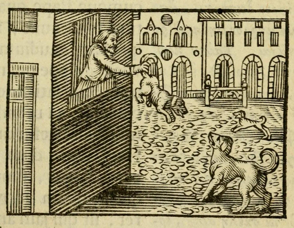 An illustration from Fabulæ Æsopi Graecè & Latinè, nunc denuo selectæ : eæ item, quas Avienus carmine expressit, accedit ranarum et murium pugna, Homero olim adscripta cum ... figuris .., 1660, leaf 79