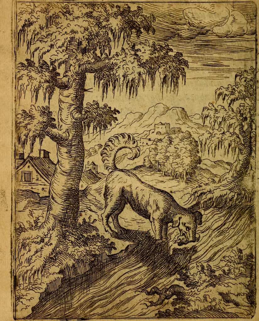 An illustration from Fabvlae centvm ex antiqvis avctoribvs delectae et a Gabriele Faerno Cremonensi carminibvs explicatae, 1564, leaf 111