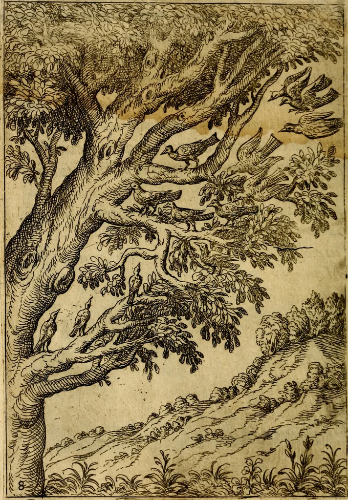 An illustration from Fabvlae centvm ex antiqvis avctoribvs delectae et a Gabriele Faerno Cremonensi carminibvs explicatae, 1564, leaf 21