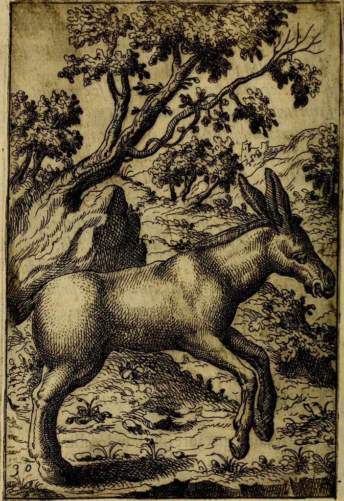 An illustration from Fabvlae centvm ex antiqvis avctoribvs delectae et a Gabriele Faerno Cremonensi carminibvs explicatae, 1564, leaf 65