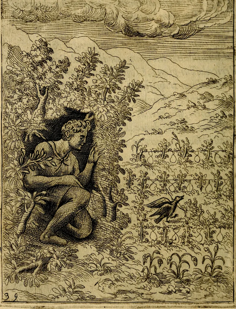 An illustration from Fabvlae centvm ex antiqvis avctoribvs delectae et a Gabriele Faerno Cremonensi carminibvs explicatae, 1564, leaf 83