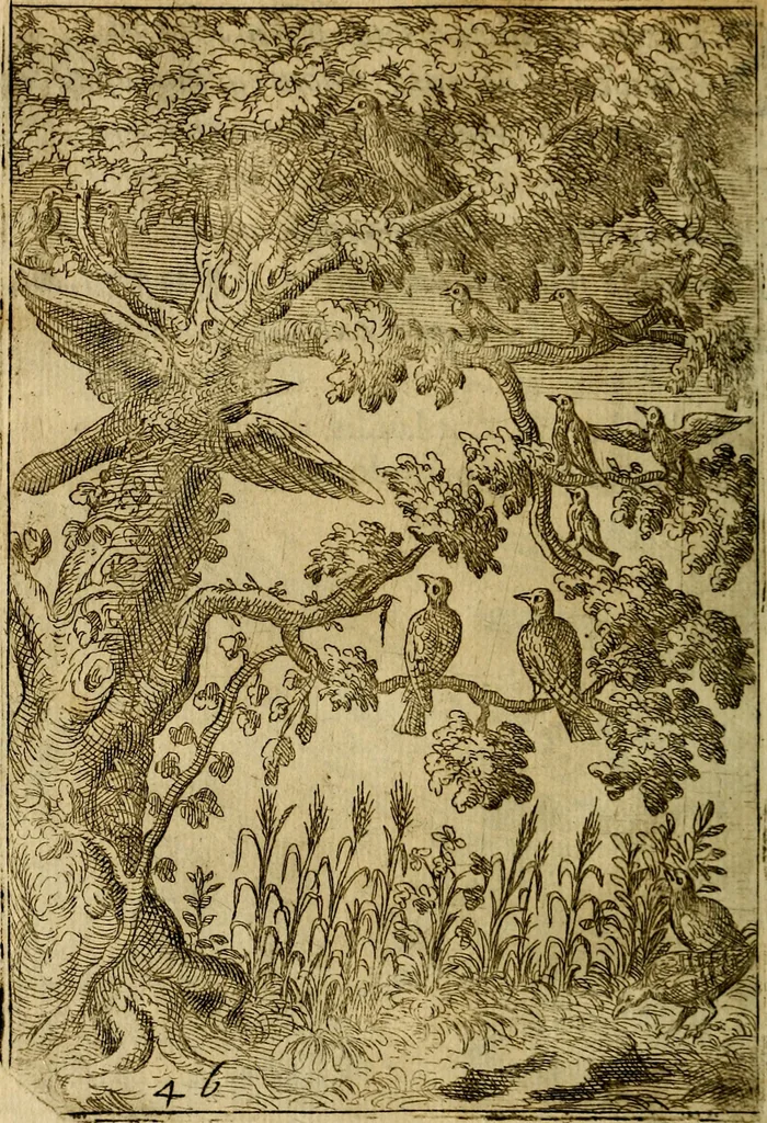 An illustration from Fabvlae centvm ex antiqvis avctoribvs delectae et a Gabriele Faerno Cremonensi carminibvs explicatae, 1564, leaf 97