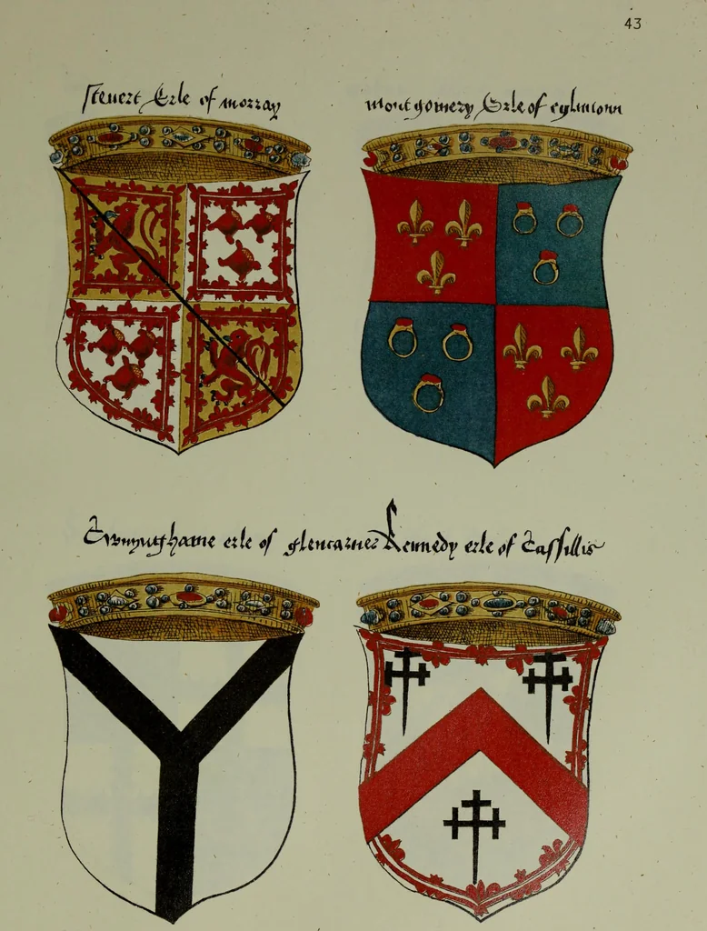 An illustration from Fac simile of an ancient heraldic manuscipt : emblazoned by Sir David Lyndsay of the Mount. Lyon king of armes 1542, 1878, leaf 115