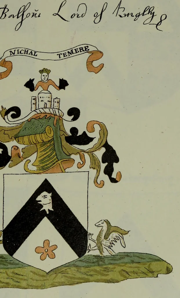 An illustration from Fac simile of an ancient heraldic manuscipt : emblazoned by Sir David Lyndsay of the Mount. Lyon king of armes 1542, 1878, leaf 169