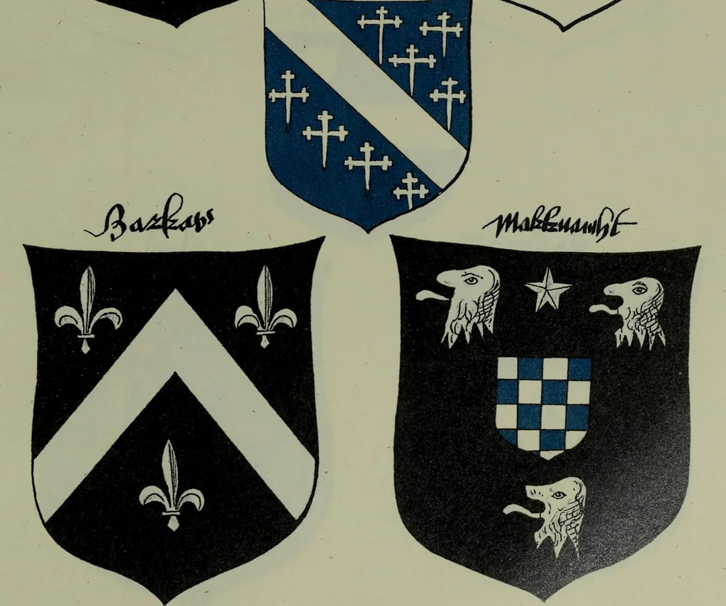 An illustration from Fac simile of an ancient heraldic manuscipt : emblazoned by Sir David Lyndsay of the Mount. Lyon king of armes 1542, 1878, leaf 307