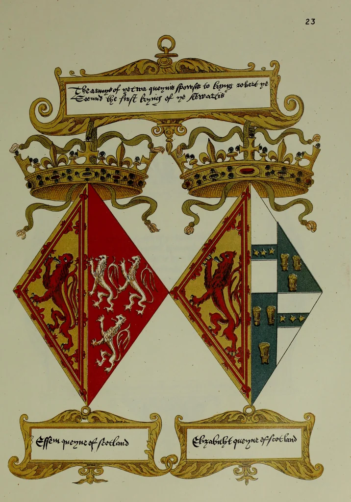 An illustration from Fac simile of an ancient heraldic manuscipt : emblazoned by Sir David Lyndsay of the Mount. Lyon king of armes 1542, 1878, leaf 73
