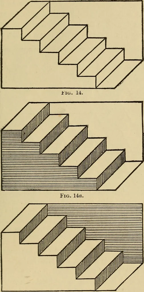 An illustration from Fact and fable in psychology, 1900, leaf 315