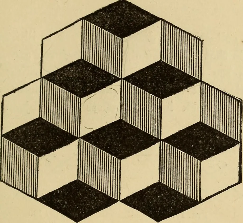An illustration from Fact and fable in psychology, 1900, leaf 317