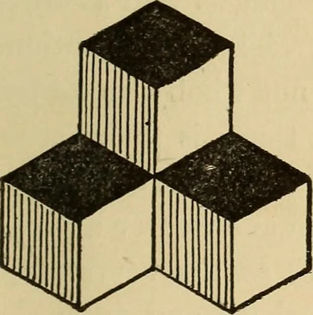 An illustration from Fact and fable in psychology, 1900, leaf 317