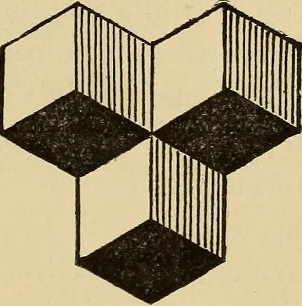 An illustration from Fact and fable in psychology, 1900, leaf 317