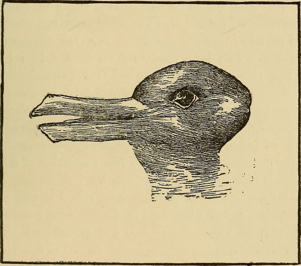 An illustration from Fact and fable in psychology, 1900, leaf 319