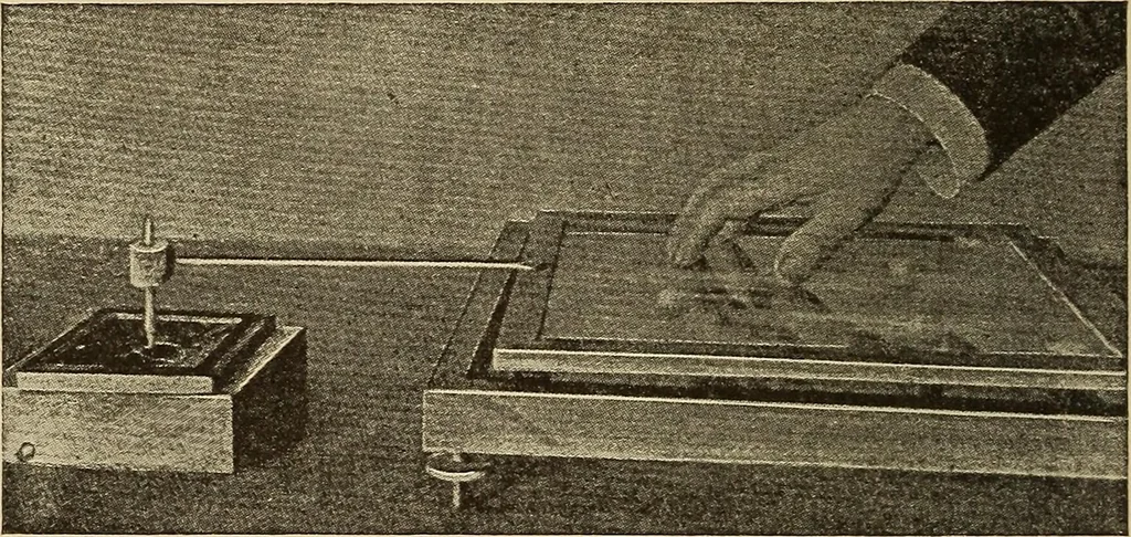 An illustration from Fact and fable in psychology, 1900, leaf 334
