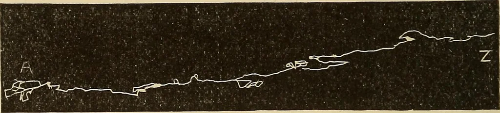 An illustration from Fact and fable in psychology, 1900, leaf 336