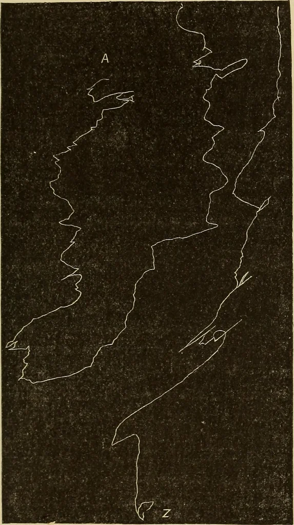 An illustration from Fact and fable in psychology, 1900, leaf 339