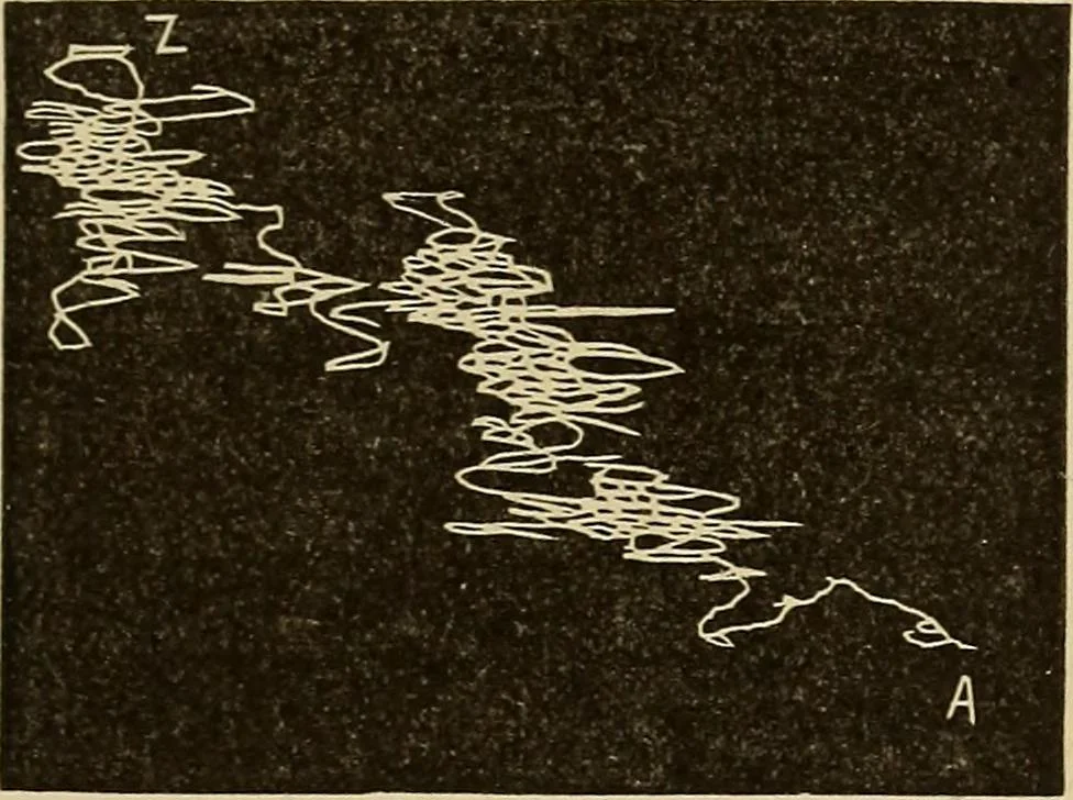 An illustration from Fact and fable in psychology, 1900, leaf 341
