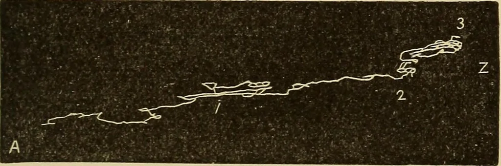 An illustration from Fact and fable in psychology, 1900, leaf 341