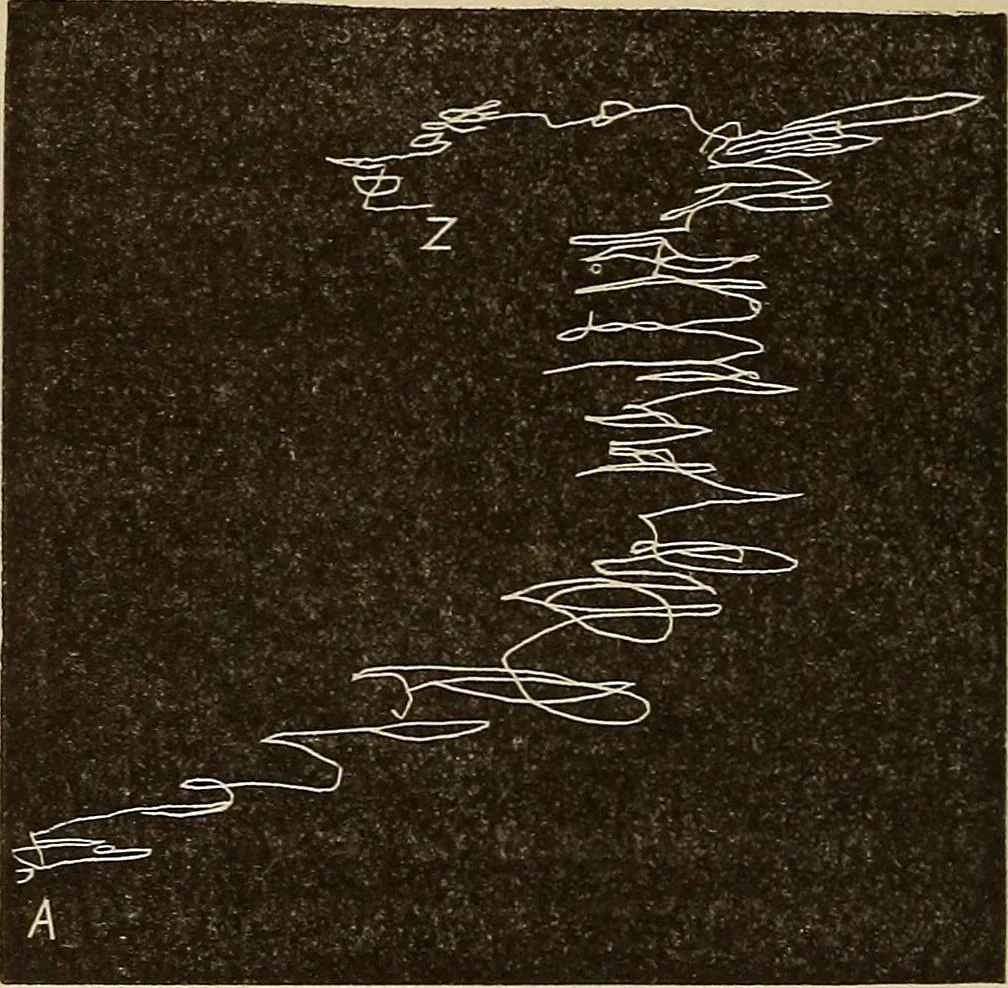 An illustration from Fact and fable in psychology, 1900, leaf 342