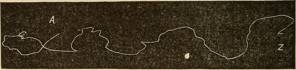 An illustration from Fact and fable in psychology, 1900, leaf 342