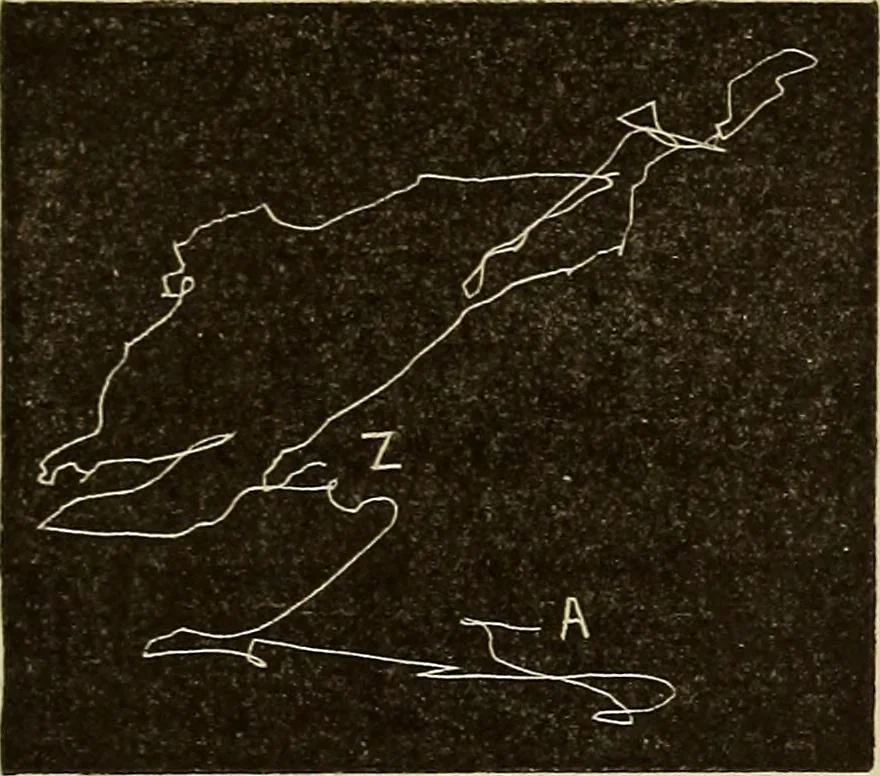 An illustration from Fact and fable in psychology, 1900, leaf 343