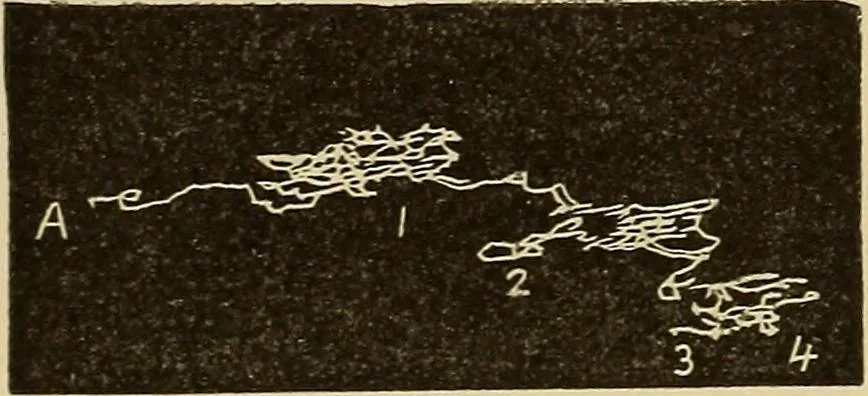 An illustration from Fact and fable in psychology, 1900, leaf 343