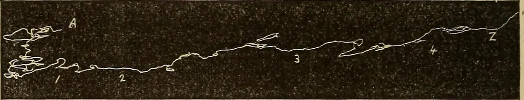 An illustration from Fact and fable in psychology, 1900, leaf 344
