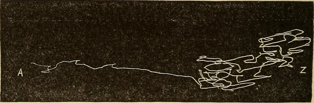 An illustration from Fact and fable in psychology, 1900, leaf 344